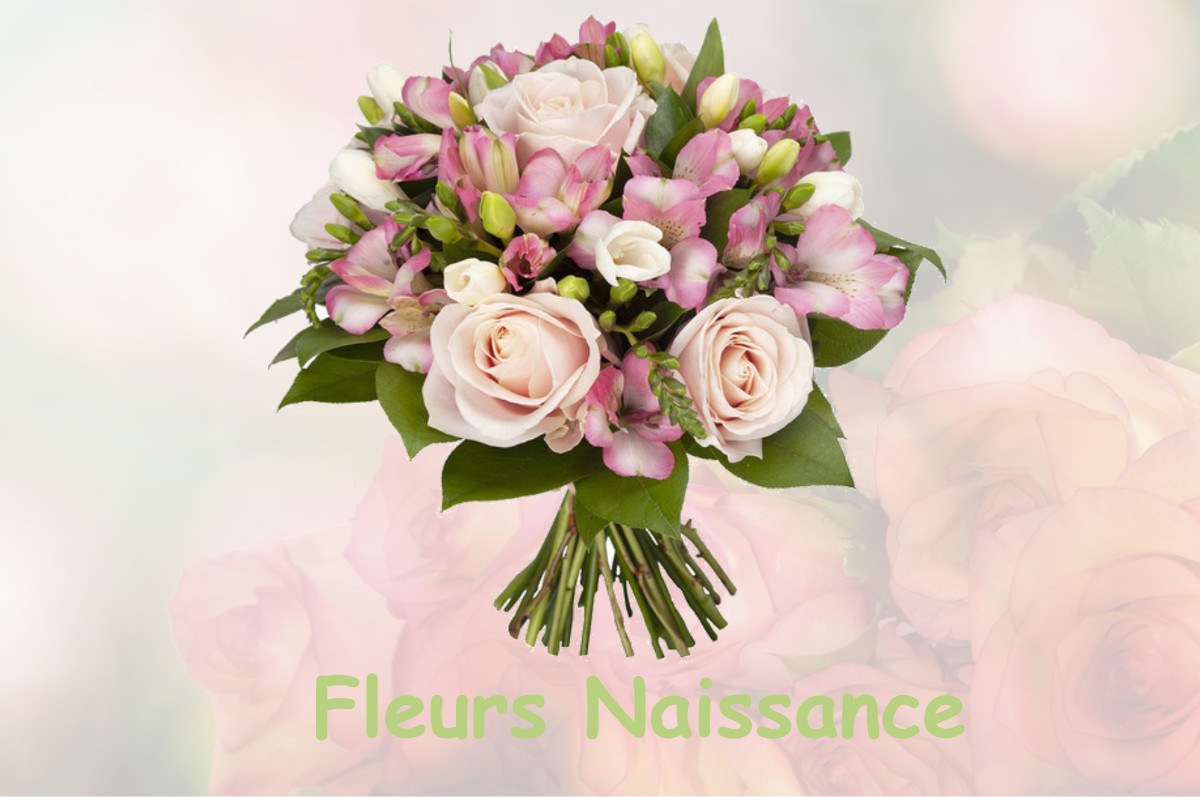 fleurs naissance LA-ROCHE-VANNEAU