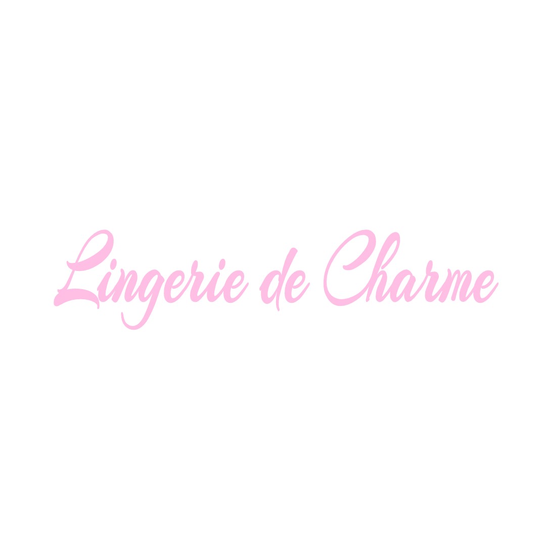 LINGERIE DE CHARME LA-ROCHE-VANNEAU